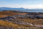 240907b_Bohemanneset_61_E