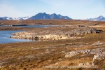 240907b_Bohemanneset_66_E