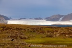 240911b_Hermansenoya_040_N