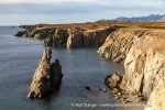 240911b_Hermansenoya_074_N