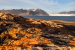 240911b_Hermansenoya_123_N
