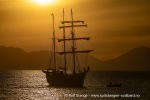 240911b_Hermansenoya_178_N