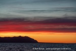 240911d_Fuglehuken_03_N