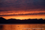 240912d_Fjortende-Julibukta_38_D