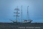 240918b_Moffen_82_N
