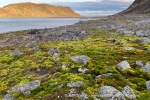240919b_Birgerbukta_04_N