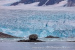 240919e_Fuglefjord_01_N