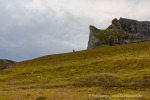 240921b_Alkhornet_013_D