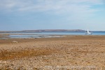 240813a_Tombolooya_033_N