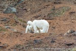 240814a_Hansoya_54_N