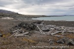240814b_Franklindalen_039_N