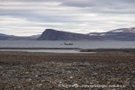 240814b_Franklindalen_173_N