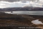 240815c_Planciusbukta_060_N