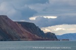 240815c_Planciusbukta_162_N