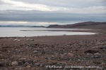 240815f_Haudegen_39_N