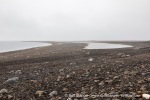 240816a_Scoresbyoya_001_N