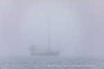 240819a_Halvmaneoya_231_N