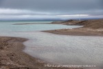 240819d_Tjuvfjordlagune_23_N