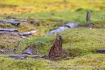 240821d_Tomtodden_06_N