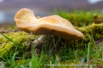 240821d_Tomtodden_28_N
