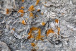 240827a_Bjonahamna_52_N