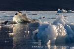 240828b_Borebreen_23_N