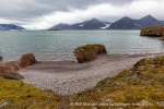 240829a_Midtholmen_03_N