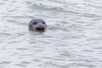 240829a_Midtholmen_75_N