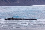 240829b_Kongsfjord_01_N