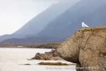 240829c_Ny-Alesund_08_N