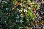 240901a_Andoyane_052_N