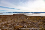 240901a_Andoyane_122_N