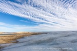 240902b_Ericadalen_054_N