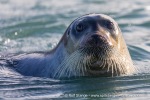 240902b_Ericadalen_343_N