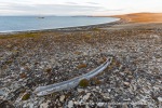240902d_Von-Otteroya_03_N