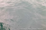 240906a_Trygghamna_05_N