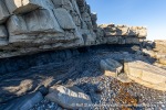 240907b_Bohemanneset_37_N