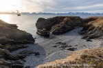240911b_Hermansenoya_006_N