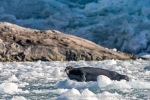 240913b_Fjerdebreen_156_N