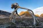 240913e_Kobbefjord_064_N