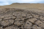 240916b_Zeipelodden_20_N