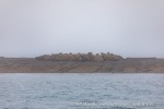 240917a_Wahlbergoya_01_N