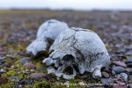 240918b_Moffen_71_N