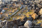240919a_Sallyhamna_09_N