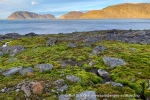 240919b_Birgerbukta_08_N