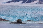 240919e_Fuglefjord_01_N