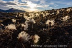 240920b_Gjertsenodden_06_N