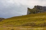 240921b_Alkhornet_013_N