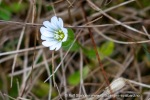 240921b_Alkhornet_109_N