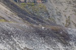 240922d_Kapp-Wijk_04_N